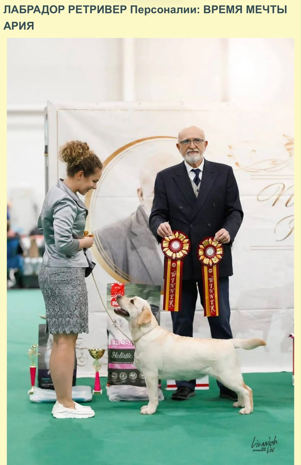 Aria at a dog show with her handler and a judge holding awards