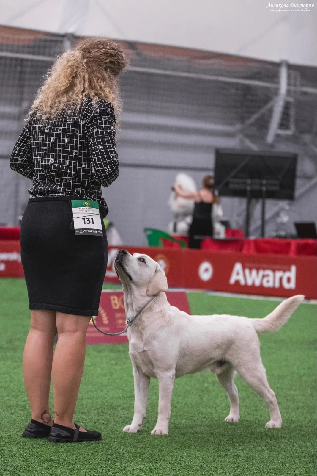 Mars with his handler in a show stance in the ring