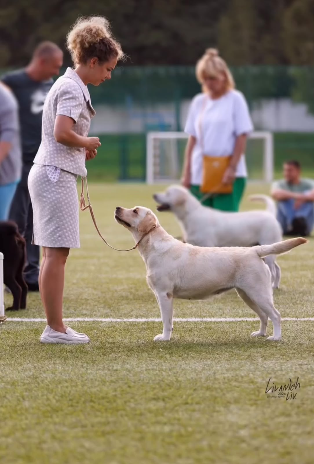 Vanessa with her handler in a show stance on the grass